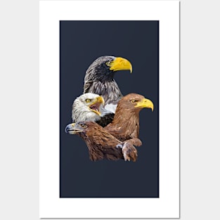 Eagle and eagle Posters and Art